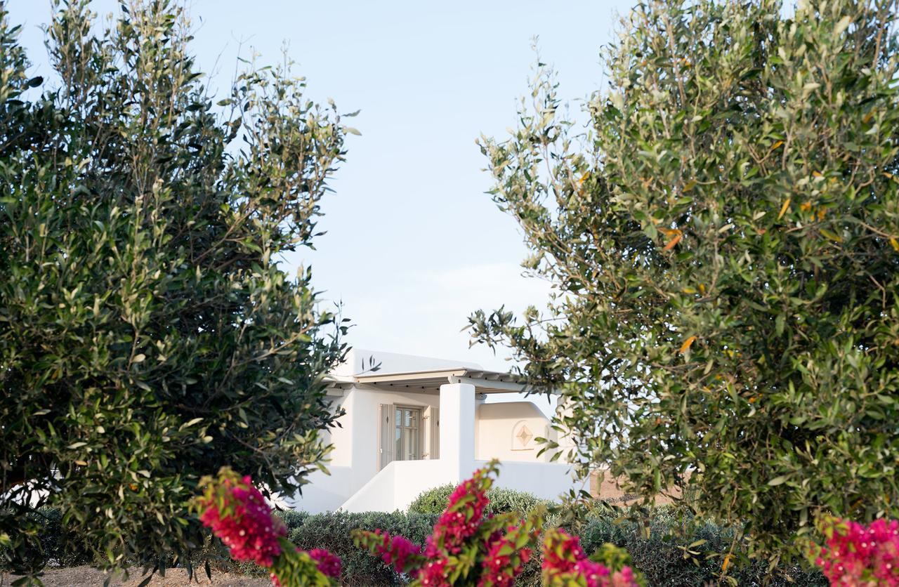 Golden Paros