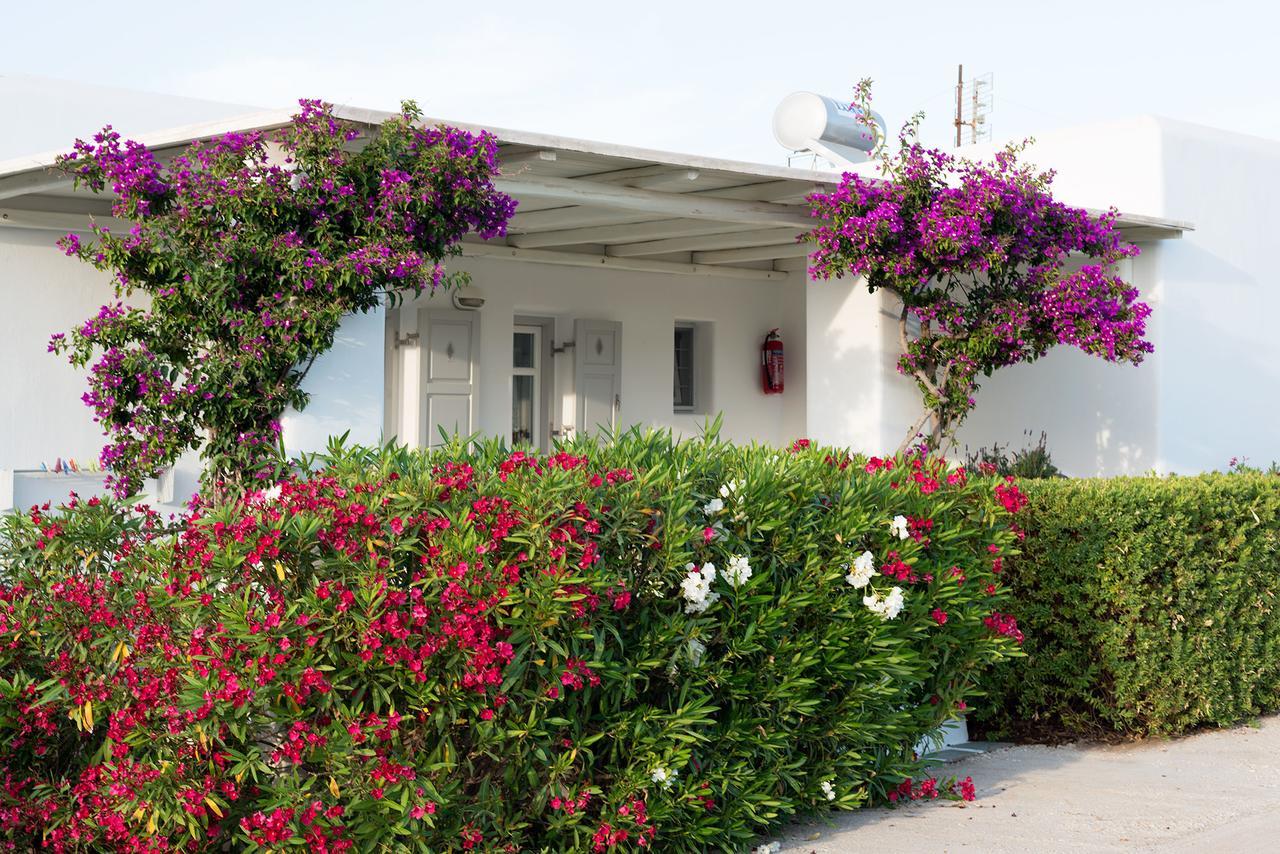 Golden Paros Apartment Chrisi Akti (Paros)