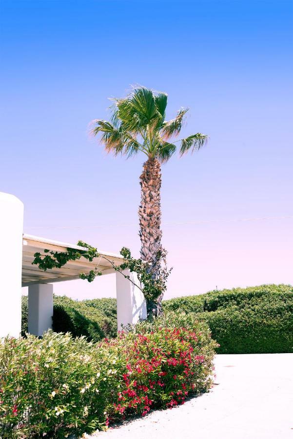 Apartment Golden Paros *
